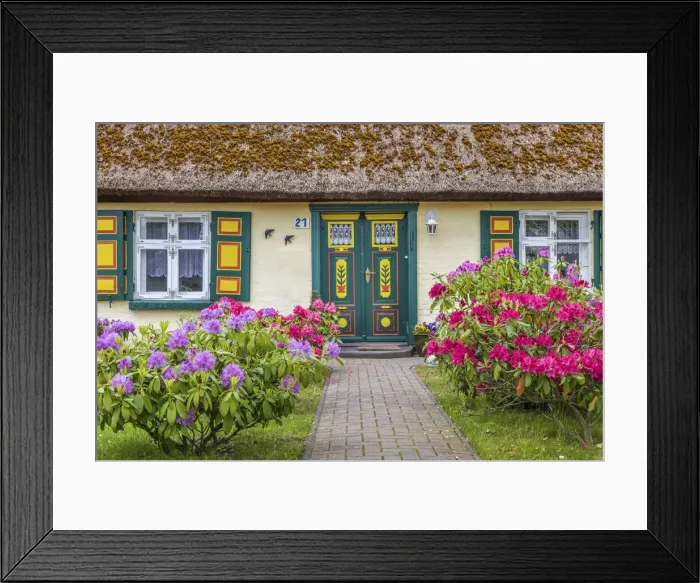 Framed Print : Beautiful old thatched roof house in Zingst, Mecklenburg-Western Pomerania Framed Print : Beautiful old thatched roof house in Zingst, Mecklenburg-Western Pomerania