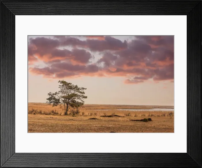 Framed Print : Western Pomerania Lagoon Area National Park, Mecklenburg-Western Pomerania