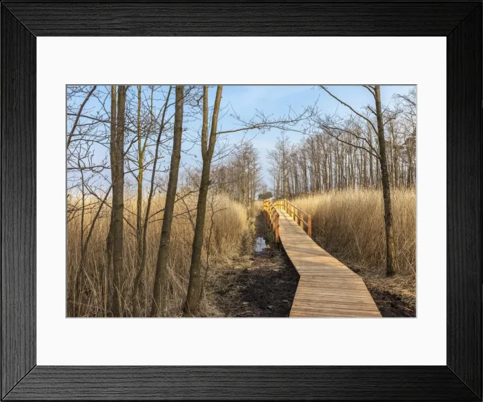 Framed Print : Hiking trail in the national park, Western Pomerania Lagoon Area Framed Print : Hiking trail in the national park, Western Pomerania Lagoon Area