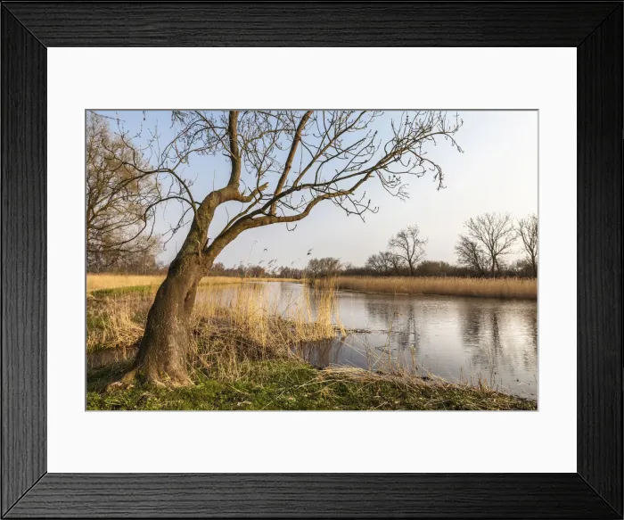 Framed Print : Saaler Bodden sea near Ribnitz-Damgarten, Mecklenburg-Western Pomerania, Northern Germany Framed Print : Saaler Bodden sea near Ribnitz-Damgarten, Mecklenburg-Western Pomerania, Northern Germany