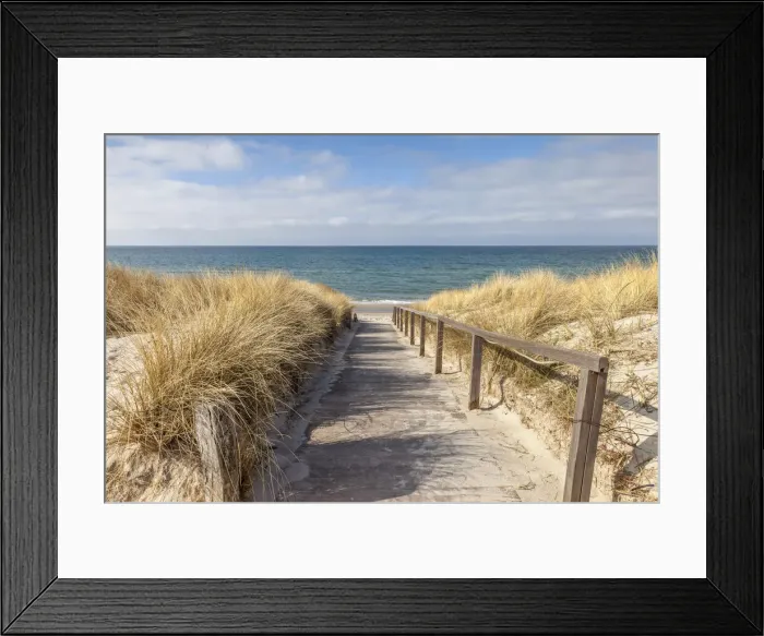 Framed Print : Path to the beach through the dunes in Dierhagen, Mecklenburg-Western Pomerania Framed Print : Path to the beach through the dunes in Dierhagen, Mecklenburg-Western Pomerania
