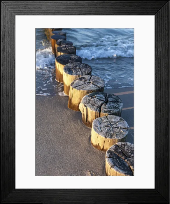 Framed Print : Groynes on the beach of Zingst, Mecklenburg-Western Pomerania, Northern Germany, Germany