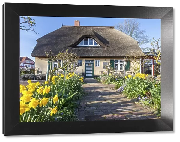 Cafe Rose Garden in a historic thatched roof house in Zingst