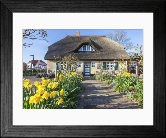 Framed Print : Cafe Rose Garden in a historic thatched roof house in Zingst Framed Print : Cafe Rose Garden in a historic thatched roof house in Zingst