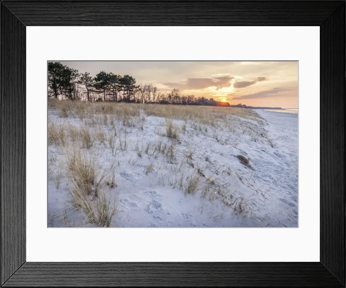 Framed Print : Dunes on the beach of Zingst, Mecklenburg-Western Pomerania, Northern Germany, Germany Framed Print : Dunes on the beach of Zingst, Mecklenburg-Western Pomerania, Northern Germany, Germany