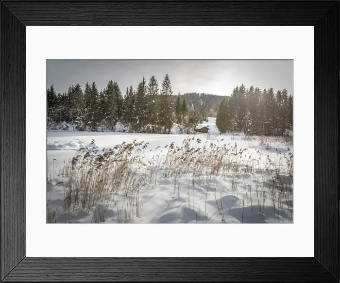 Framed Print : Frozen Geroldsee near Kruen, Upper Bavaria, Bavaria, Germany Framed Print : Frozen Geroldsee near Kruen, Upper Bavaria, Bavaria, Germany