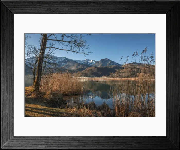 Framed Print : Shore of the Lake Kochel near Schlehdorf, Upper Bavaria, Bavaria, Germany