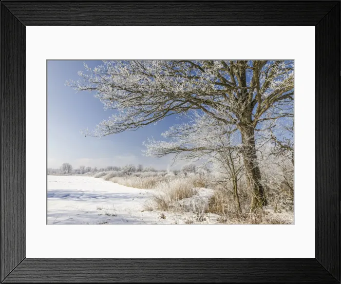 Framed Print : Winter landscape near Chieming at Lake Chiemsee, Upper Bavaria, Bavaria, Germany Framed Print : Winter landscape near Chieming at Lake Chiemsee, Upper Bavaria, Bavaria, Germany