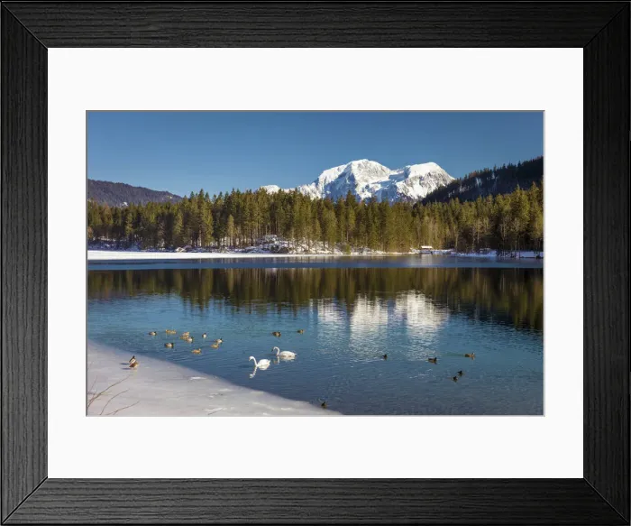 Framed Print : Hintersee above Ramsau, Upper Bavaria, Bavaria, Germany