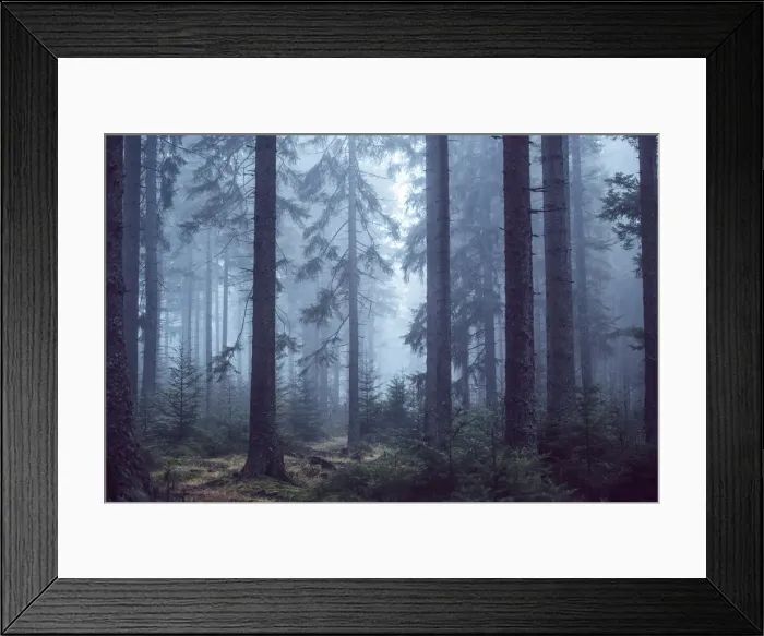 Framed Print : Autumn fog in the Taunus Forest, Niedernhausen, Hesse, Germany