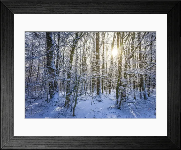 Framed Print : Winter forest in the Taunus near Engenhahn, Niedernhausen, Hesse, Germany Framed Print : Winter forest in the Taunus near Engenhahn, Niedernhausen, Hesse, Germany