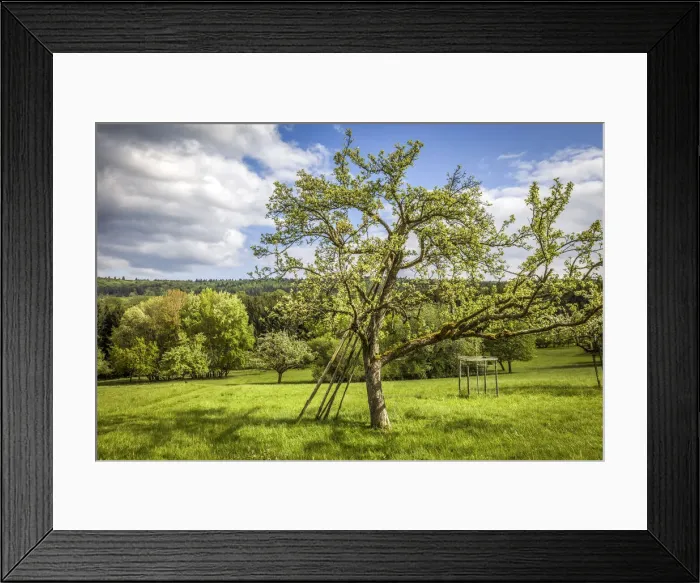 Framed Print : Orchards near Engenhahn in spring, Niedernhausen, Hesse, Germany Framed Print : Orchards near Engenhahn in spring, Niedernhausen, Hesse, Germany