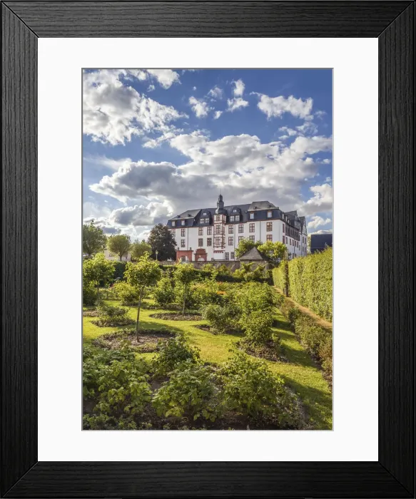 Framed Print : Rose garden in front of the Idstein Castle, Hesse, Germany Framed Print : Rose garden in front of the Idstein Castle, Hesse, Germany