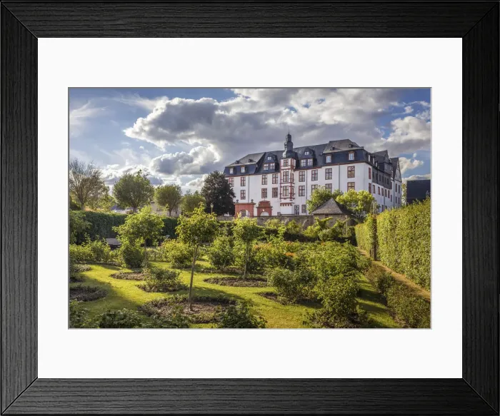 Framed Print : Rose garden in front of the Idstein Castle, Hesse, Germany Framed Print : Rose garden in front of the Idstein Castle, Hesse, Germany