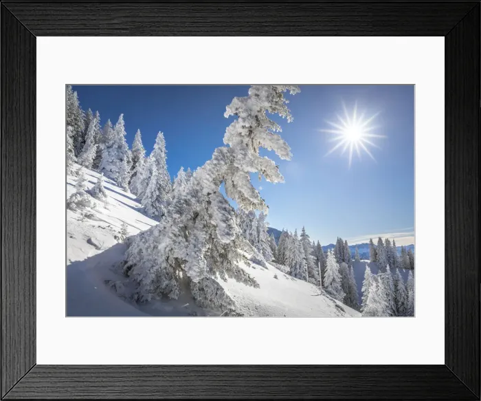Framed Print : Snow-covered winter forest at Tegelberg in the Ammer Mountains, Schwangau, Allgaeu