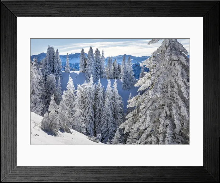 Framed Print : Snow-covered winter forest at Tegelberg in the Ammer Mountains, Schwangau, Allgaeu