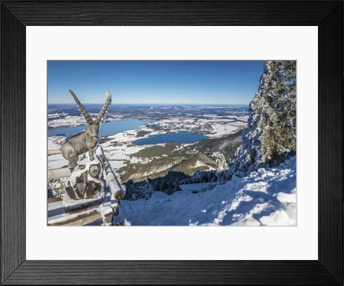 Framed Print : Carved ibex at the Tegelberghaus (1, 707 m) with a view over the Forggensee, Schwangau Framed Print : Carved ibex at the Tegelberghaus (1, 707 m) with a view over the Forggensee, Schwangau