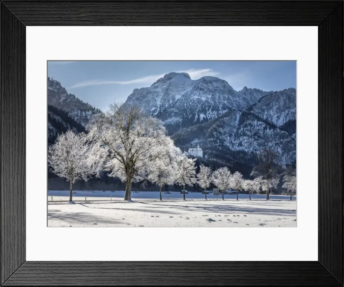 Framed Print : Wintry avenue with Neuschwanstein Castle, Schwangau, Allgaau, Bavaria, Germany Framed Print : Wintry avenue with Neuschwanstein Castle, Schwangau, Allgaau, Bavaria, Germany