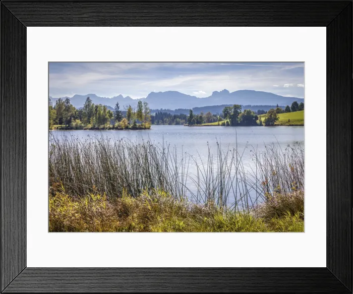 Framed Print : Schwaltenweiher near Seeg, Allgaeu, Bavaria, Germany Framed Print : Schwaltenweiher near Seeg, Allgaeu, Bavaria, Germany