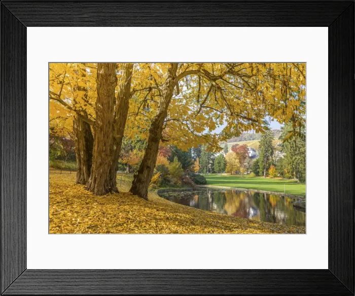 Framed Print : Neropark in autumn, Wiesbaden, Hesse, Germany Framed Print : Neropark in autumn, Wiesbaden, Hesse, Germany