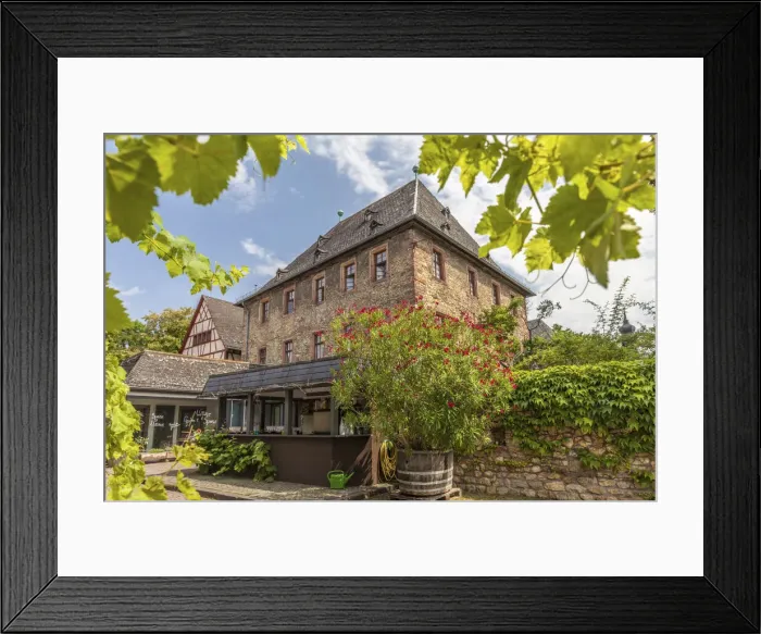 Framed Print : Archway at a vineyard in the Rheingau, Hesse, Germany Framed Print : Archway at a vineyard in the Rheingau, Hesse, Germany