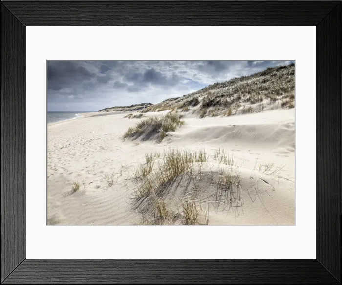 Framed Print : Dune landscape in the Ellenbogen nature reserve near List, Sylt, Schleswig-Holstein Framed Print : Dune landscape in the Ellenbogen nature reserve near List, Sylt, Schleswig-Holstein