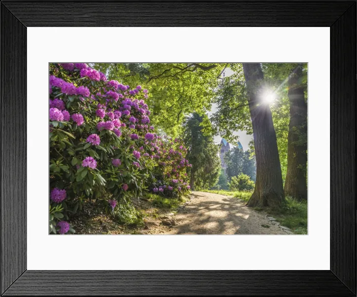 Framed Print : Sunrise in the palace gardens of Bad Homburg vor der Hoehe, Taunus, Hesse, Germany Framed Print : Sunrise in the palace gardens of Bad Homburg vor der Hoehe, Taunus, Hesse, Germany