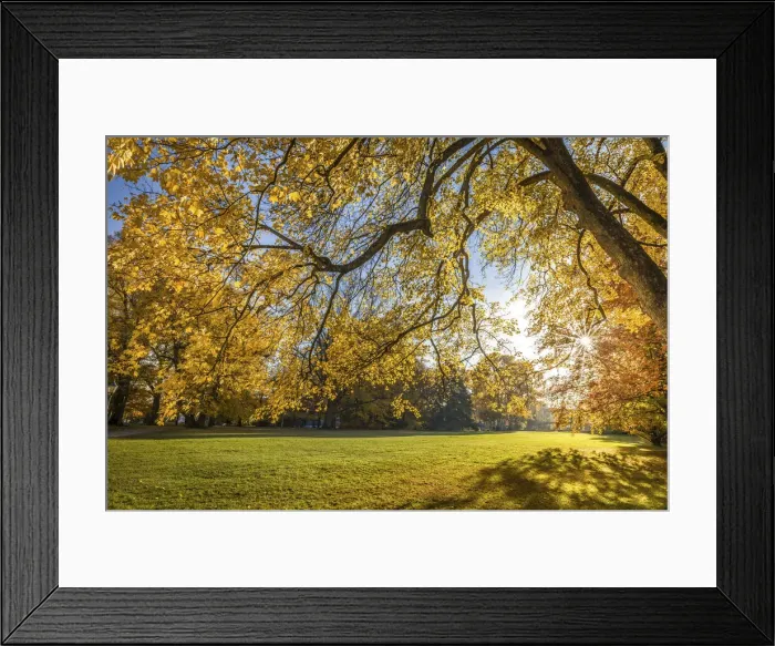Framed Print : Autumn in the spa gardens of Bad Homburg vor der Hoehe, Taunus, Hesse, Germany Framed Print : Autumn in the spa gardens of Bad Homburg vor der Hoehe, Taunus, Hesse, Germany