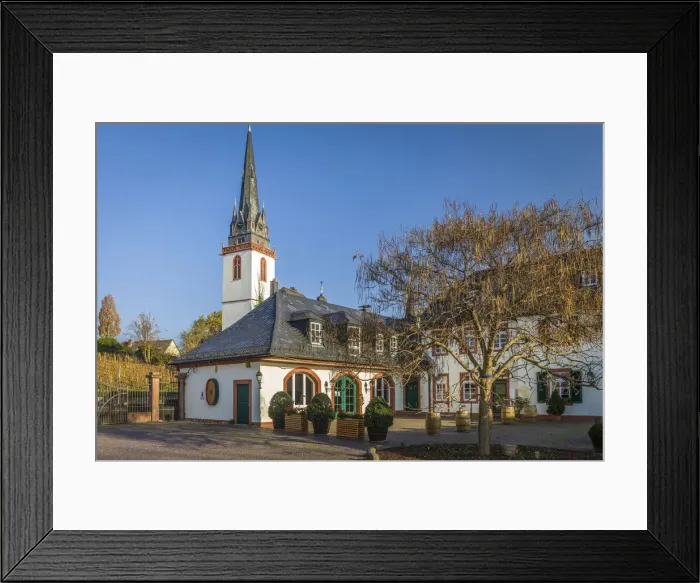 Framed Print : Vineyard at Reinhartshausen Castle in Erbach, Rheingau, Hesse, Germany