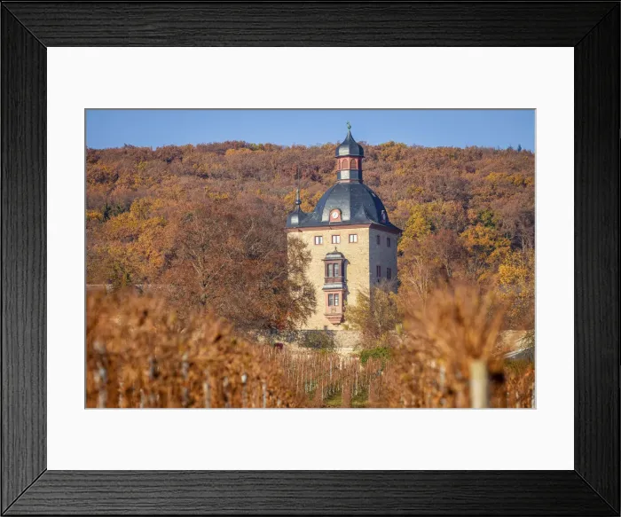 Framed Print : Vollrads Castle in the vineyards above Oestrich-Winkel, Rheingau, Hesse, Germany Framed Print : Vollrads Castle in the vineyards above Oestrich-Winkel, Rheingau, Hesse, Germany