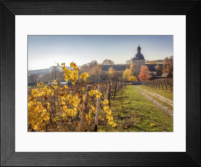 Framed Print : Vollrads Castle in the vineyards above Oestrich-Winkel, Rheingau, Hesse, Germany Framed Print : Vollrads Castle in the vineyards above Oestrich-Winkel, Rheingau, Hesse, Germany