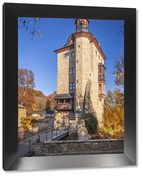 Vollrads Castle above Oestrich-Winkel, Rheingau, Hesse, Germany