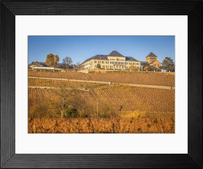 Framed Print : Johannisberg Castle, Rheingau, Hesse, Germany Framed Print : Johannisberg Castle, Rheingau, Hesse, Germany