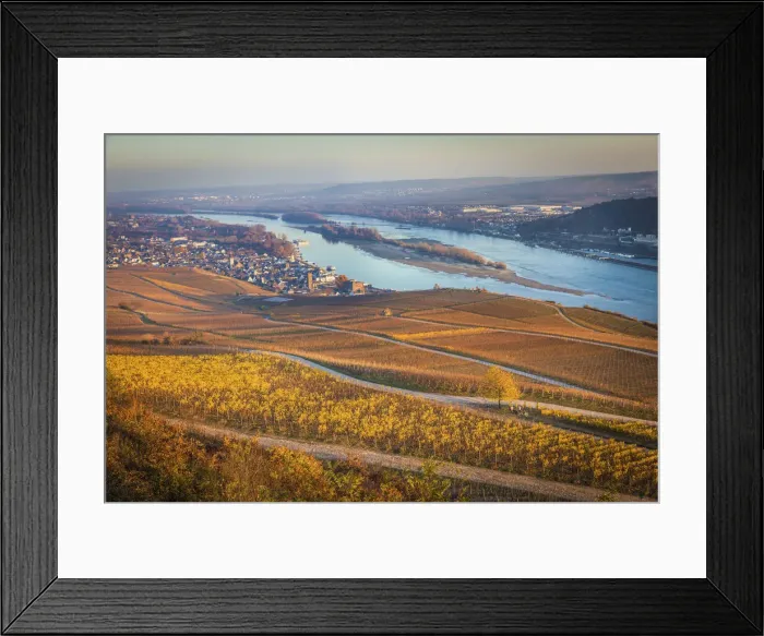Framed Print : View from the Niederwald viewing terrace to Ruedesheim, Rheingau, Hesse, Germany Framed Print : View from the Niederwald viewing terrace to Ruedesheim, Rheingau, Hesse, Germany