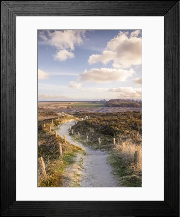 Framed Print : Path through the nature reserve Morsum-Kliff, Sylt, Schleswig-Holstein, Germany Framed Print : Path through the nature reserve Morsum-Kliff, Sylt, Schleswig-Holstein, Germany