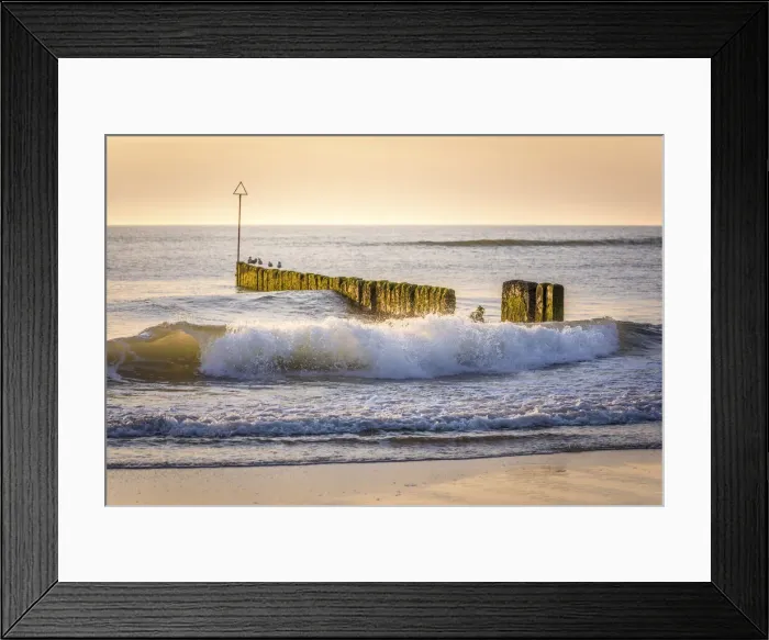 Framed Print : Old groynes on Kampen West Beach at sunset, Sylt, Schleswig-Holstein, Germany Framed Print : Old groynes on Kampen West Beach at sunset, Sylt, Schleswig-Holstein, Germany
