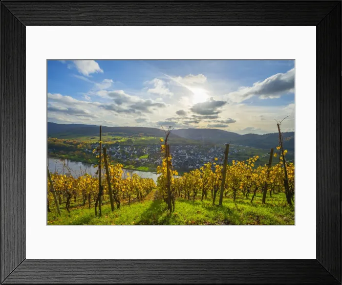 Framed Print : View at Punderich, Mosel valley, Rhineland-Palatinate, Germany Framed Print : View at Punderich, Mosel valley, Rhineland-Palatinate, Germany