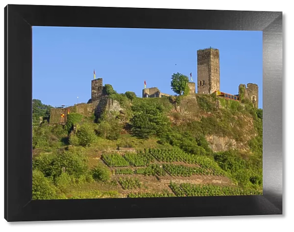 Castleruin Metternich at Beilstein, Mosel valley, Rhineland-Palatinate, Germany