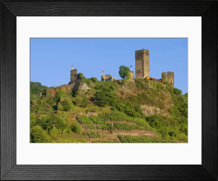 Framed Print : Castleruin Metternich at Beilstein, Mosel valley, Rhineland-Palatinate, Germany Framed Print : Castleruin Metternich at Beilstein, Mosel valley, Rhineland-Palatinate, Germany