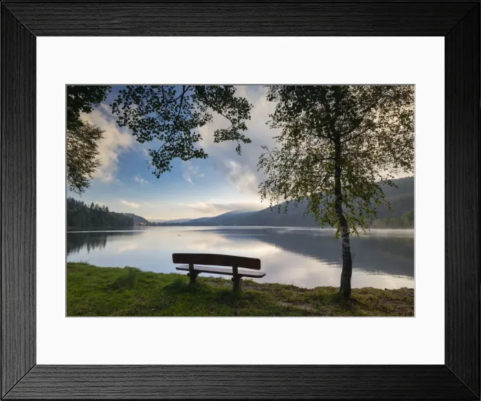 Framed Print : Bench overlooking Lake Titisee, Baden-Wurttemberg, Schwarzwald, Black Forest, Germany Framed Print : Bench overlooking Lake Titisee, Baden-Wurttemberg, Schwarzwald, Black Forest, Germany
