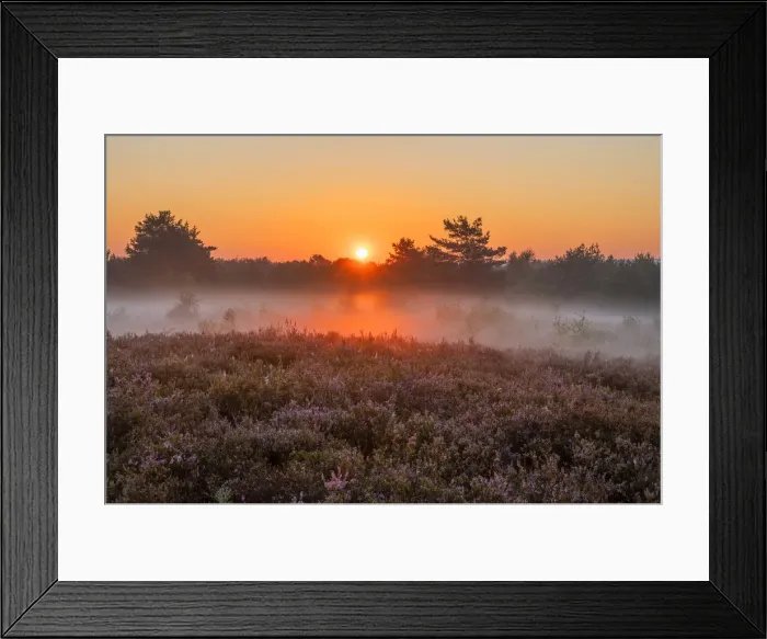 Framed Print : Sunrise at the Mehlinger Heide near Kaiserslautern, Rhineland-Palatinate, Germany