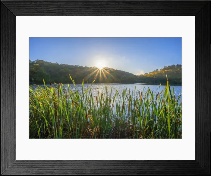 Framed Print : Sunrise at the Immerather Maar, Immerath, Eifel, Rhineland-Palatinate, Germany Framed Print : Sunrise at the Immerather Maar, Immerath, Eifel, Rhineland-Palatinate, Germany