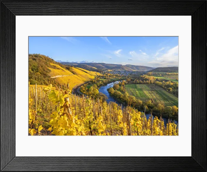 Framed Print : Vineyards with Wiltingen, Saar valley, Hunsruck, Rhineland-Palatinate, Germany Framed Print : Vineyards with Wiltingen, Saar valley, Hunsruck, Rhineland-Palatinate, Germany