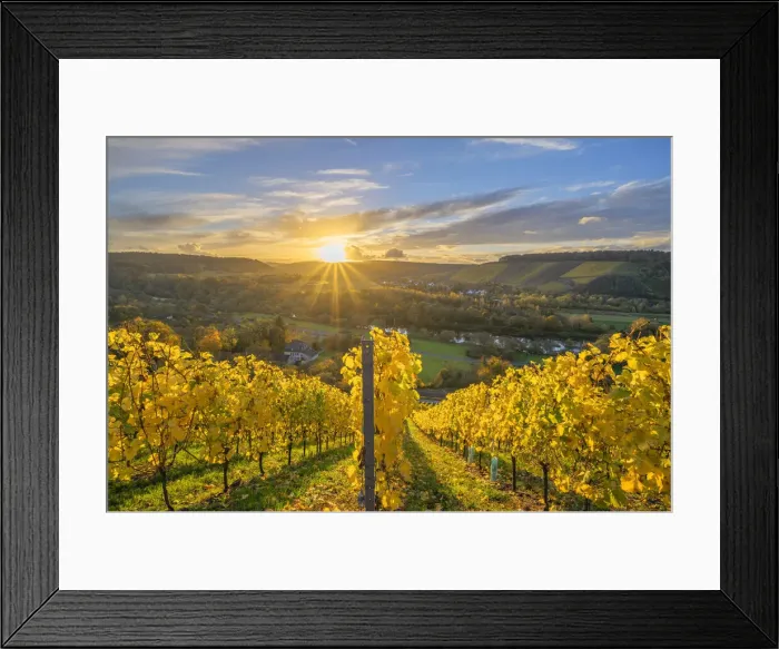 Framed Print : Sunset above Kanzem with Altenberg vineyard, Saar valley, Hunsruck, Rhineland-Palatinate, Germany Framed Print : Sunset above Kanzem with Altenberg vineyard, Saar valley, Hunsruck, Rhineland-Palatinate, Germany