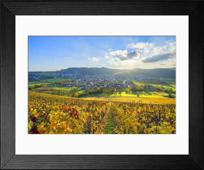Framed Print : View from the vineyard Ayler Kupp at the sunset above Ayl, Saar valley, Hunsruck, Rhineland-Palatinate, Germany Framed Print : View from the vineyard Ayler Kupp at the sunset above Ayl, Saar valley, Hunsruck, Rhineland-Palatinate, Germany