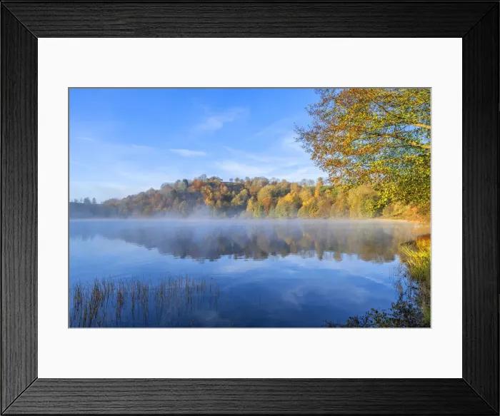 Framed Print : Morning fog at the Weinfelder Maar, Daun, Eifel, Rhineland-Palatinate, Germany Framed Print : Morning fog at the Weinfelder Maar, Daun, Eifel, Rhineland-Palatinate, Germany
