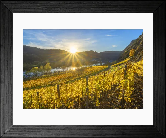 Framed Print : Sunset near Cochem, Mosel valley, Rhineland-Palatinate, Germany Framed Print : Sunset near Cochem, Mosel valley, Rhineland-Palatinate, Germany