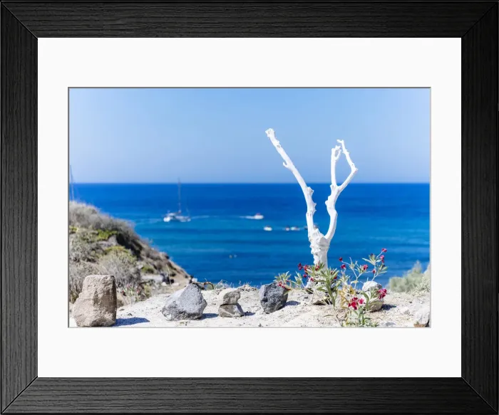 Framed Print : Santorini, Cyclades Islands, Greece. Minimal white wooden tree against blue sea and sky Framed Print : Santorini, Cyclades Islands, Greece. Minimal white wooden tree against blue sea and sky