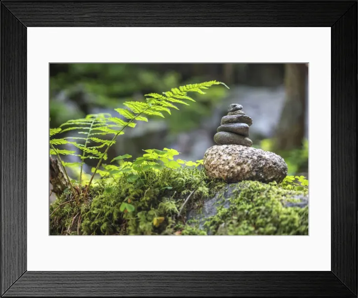 Framed Print : Stone figures in the forest at the Reinfalls in Reintal, Valle Aurina, South Tyrol, Italy Framed Print : Stone figures in the forest at the Reinfalls in Reintal, Valle Aurina, South Tyrol, Italy