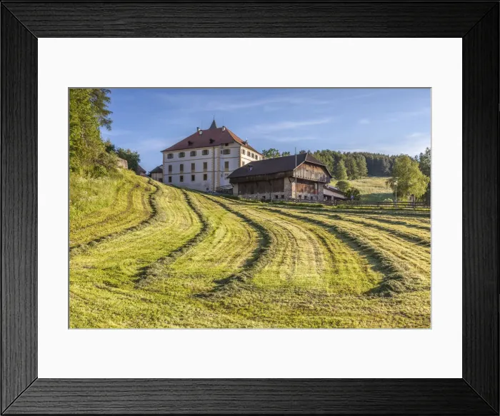 Framed Print : Mowed meadows in Lengmoos am Ritten, South Tyrol, Italy Framed Print : Mowed meadows in Lengmoos am Ritten, South Tyrol, Italy